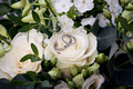 Rose & Alex's Wedding