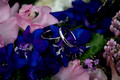 Kirsty & Craig's Wedding