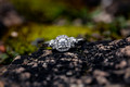 Rebecca & Andrew's Pre-Wedding Shoot