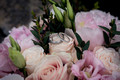 Ellie & Ben's Wedding