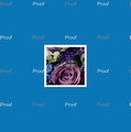 Sarah & Michael's Album Proof